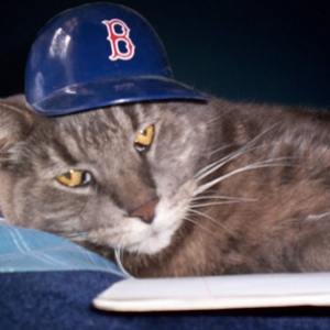 Pepsi Sox