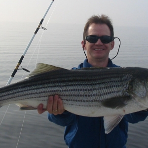 Rockfish