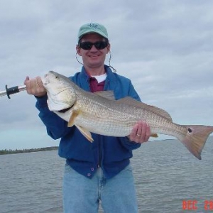 Red Drum
