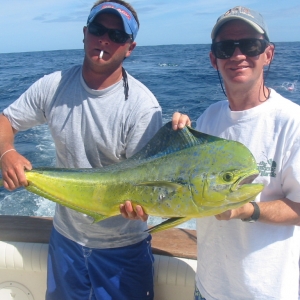 Dolphin (Mahi-Mahi)