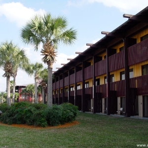 Polynesian Resort