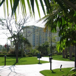 Paradise Pier Hotel