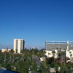 Disneyland Hotel