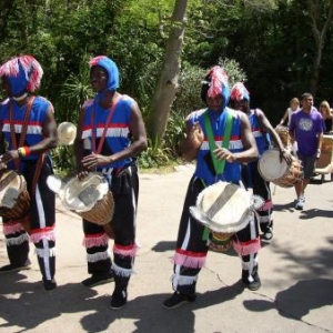 Animal Kingdom Drummers