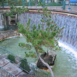 Waterfalls