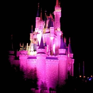 Pink Castle