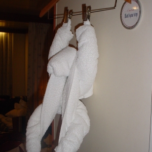 DCL Towel Animal