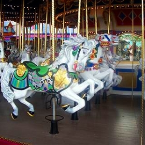 Carousel Horses