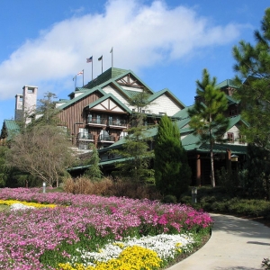 Wilderness Lodge