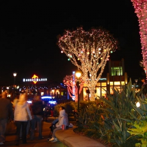 Downtown Disney - Dressed for the Holidays