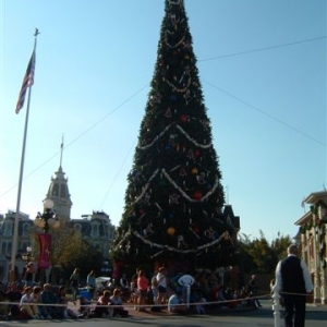 MK Tree