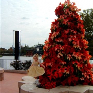 Epcot xmas