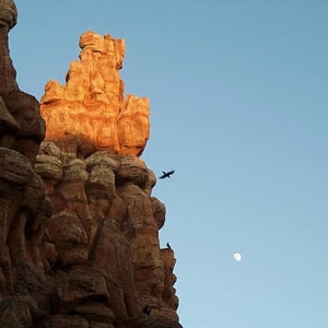 Big Thunder Mountain Railroad