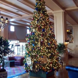 Yacht Club tree.