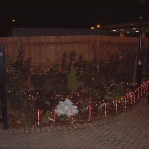 Our Christmas Decorations!