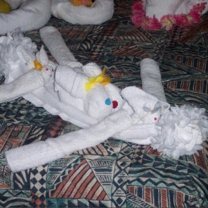 Towel Canoe