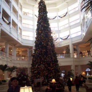 Grand Floridian tree.