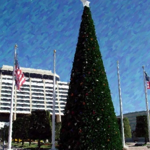 Contemporary Resort