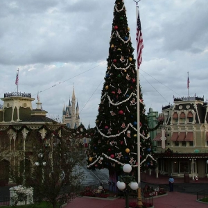 Magic Kingdom