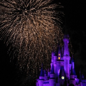 WISHES-MVMCP 2004