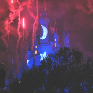 MVMCP