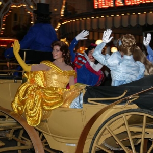 DLP enchanted fairytale ceremony