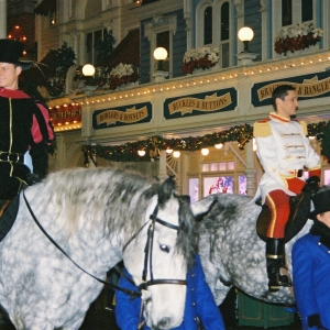 DLP enchanted fairytale ceremony