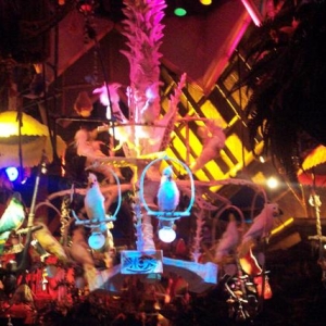 Enchanted Tiki room part 2.