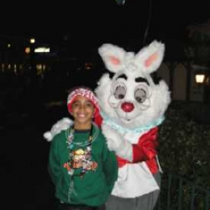 White Rabbit at MVMCP