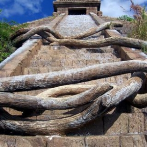 Close-up of pool steps leading to Temple.