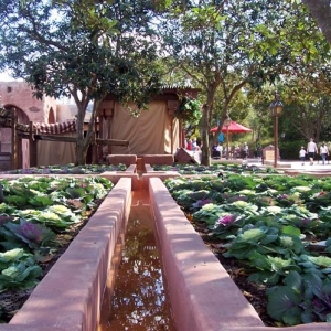 Morocco - Epcot