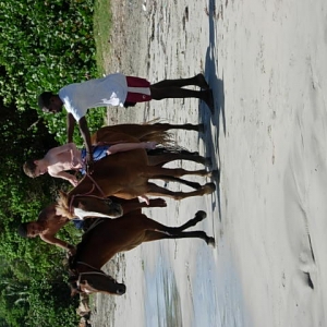 DS bareback at St. Lucia