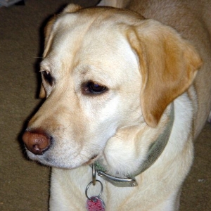 wally2