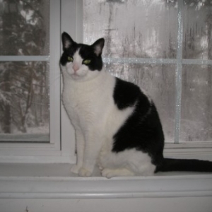 Chico_033