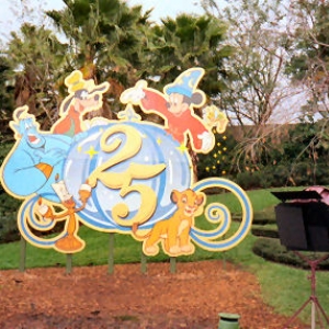25th aniversary display