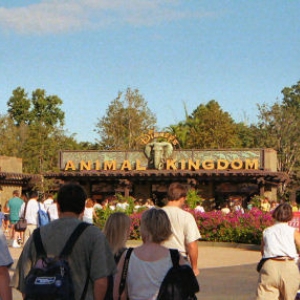 Animal Kingdom