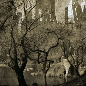 Central Park in March