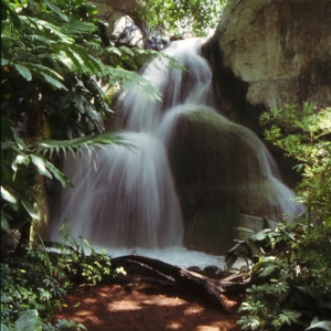 Busch Gardens Waterfall