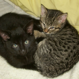 Molie & Charlie