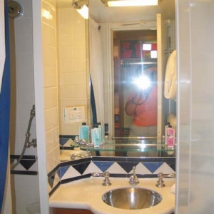 Cat 9 bathroom Wonder