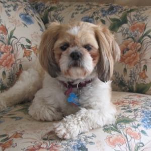 Max