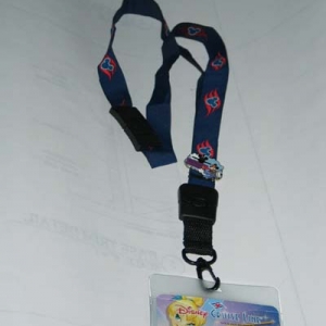 lanyard from costco