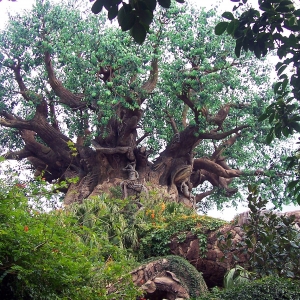 Tree of Life - upshot.