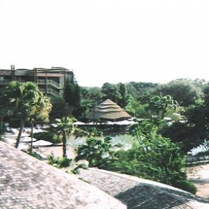 pool from view point at akl