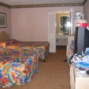 Holiday Inn Nikki Bird-excuse the mess