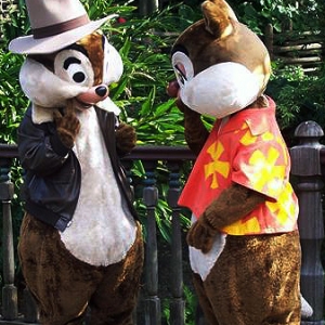 Chip and Dale - Adventureland