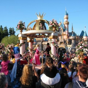 Sleeping Beauty's Royal Celebration