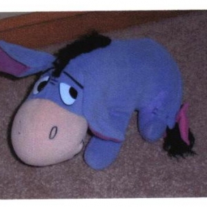 Lost Eeyore