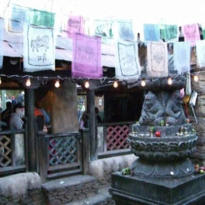 Expedition Everest queue