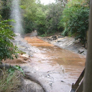 Safari ride - geyser and fake ruts in "mud"